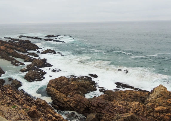 Les paysages marins rocheux de Punta Tombo 