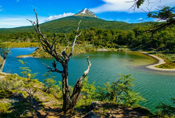 Le parc de la Terre de Feu près d'Ushuaia en Argentine