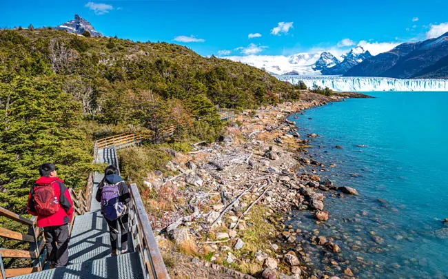 Sentier pédestre du Lago Argentino qui mène à l'énorme glacier Perito Moreno en Argentine