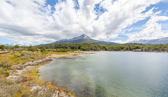 Littoral de la baie de Lapataia sur le Beagle Chanel au Parc National de la Terre de Feu