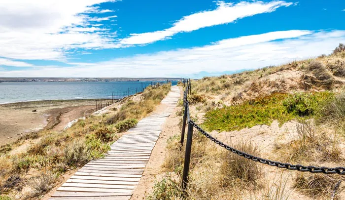 Sentier ensoleillé sur la plage de Puerto Madryn en Argentine