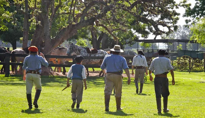 La culture et les chevaux dans les traditions gauchos