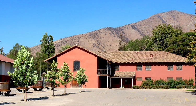 Vignoble de Santa Rita en Argentine