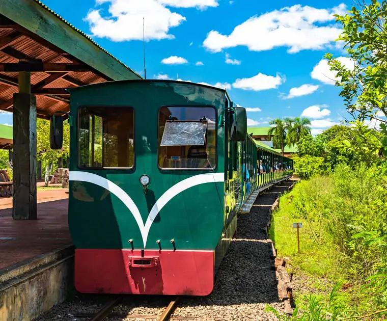 Le train écologique pour admirer les Chutes d'Iguazu 