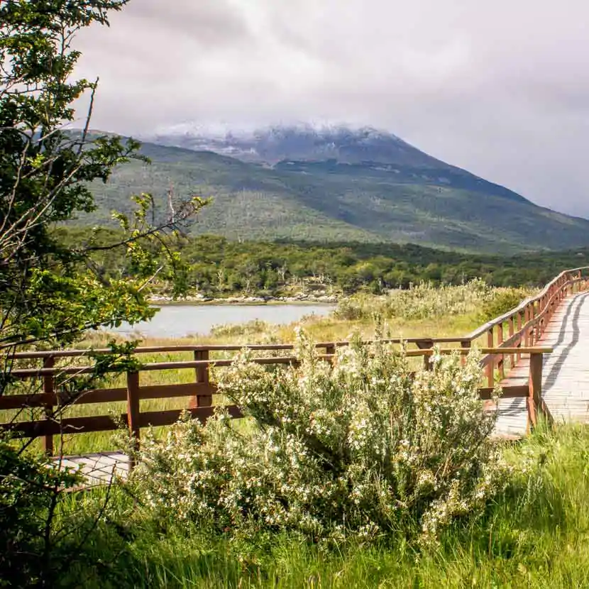 Passerelle du Parc National de la Terre de Feu 