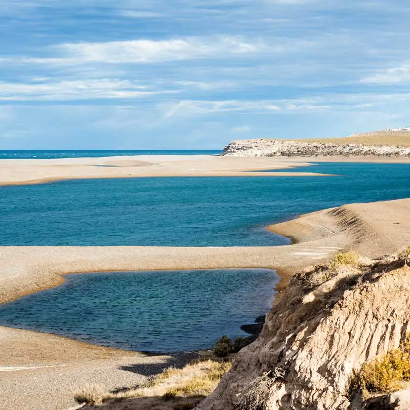 Littoral patagonien de la péninsule de Valdes en Argentine