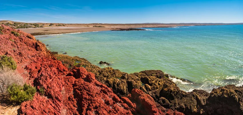 Bord de mer de Punta Tombo en Argentine