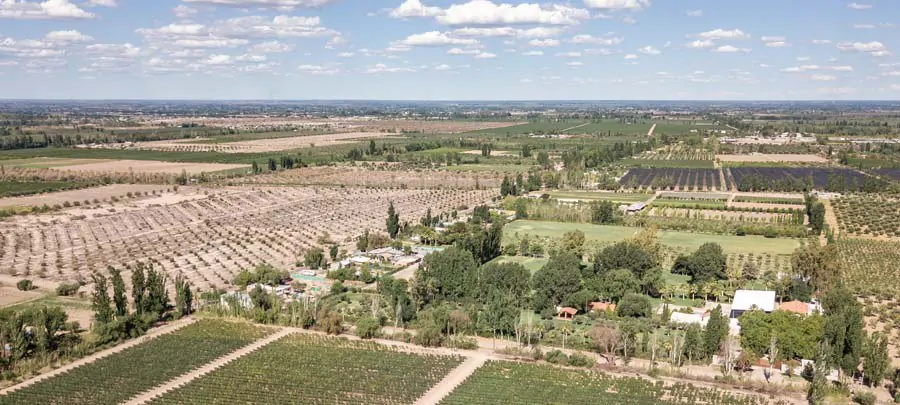 Vue aérienne sur les vignobles de Mendoza en Argentine