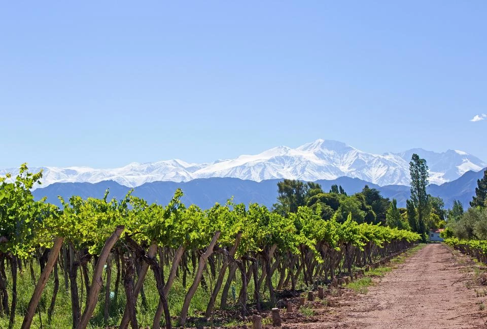 Sur la route des vins : Buenos Aires et la traversée du Nord-Ouest andin
